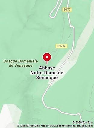 ABADÍA DE NUESTRA SEÑORA DE SÉNANQUE (GORDES, FRANCIA) | Patrimonio Natural