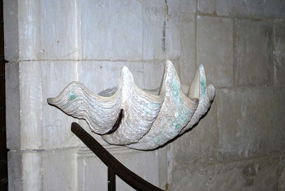 NOTRE DAME DE RIOUX (FRANCIA) | Pila bautismal realizada con una concha de molusco.