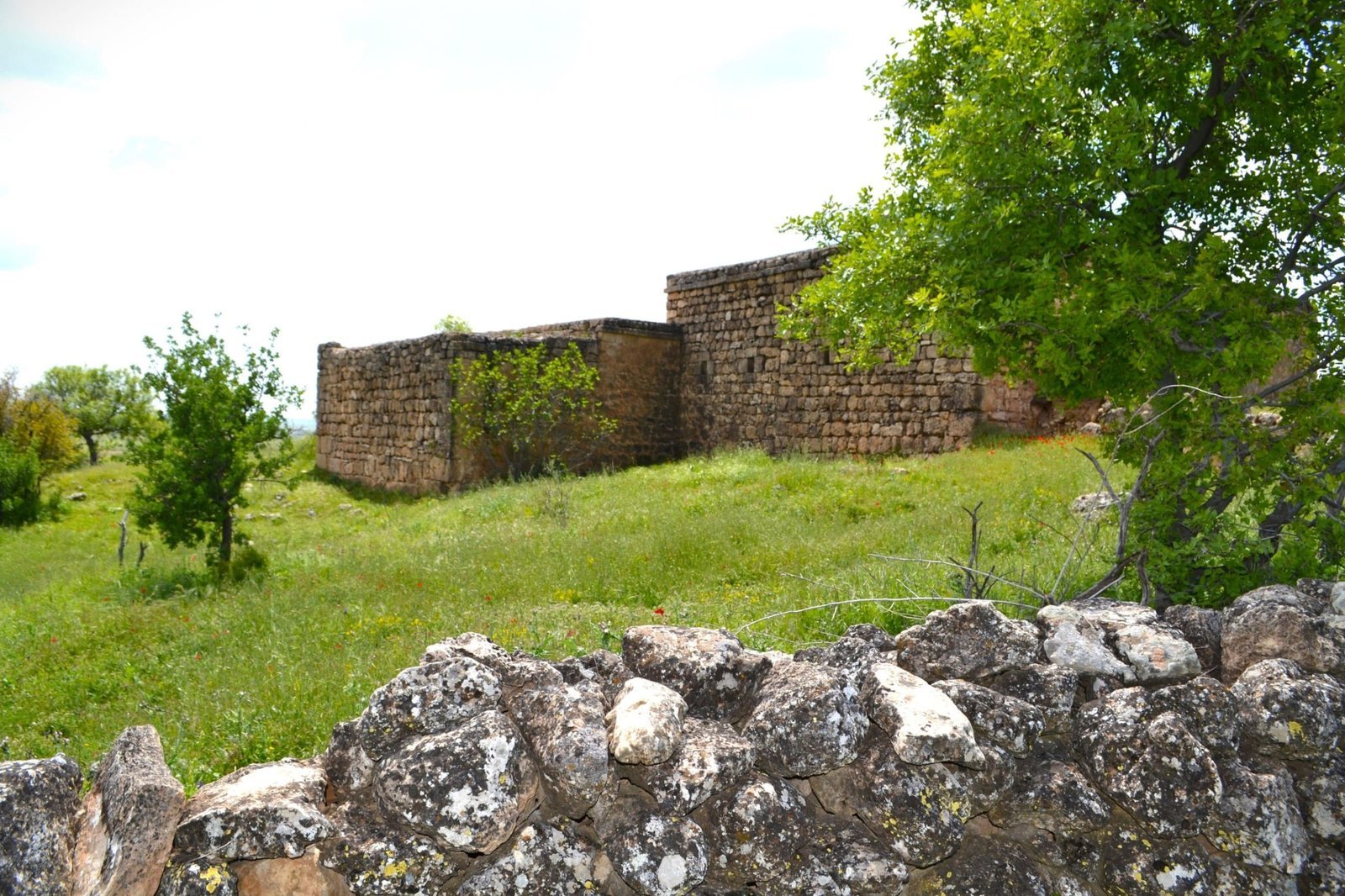 The Monastery of Mor Lo´ozor - galleria 14