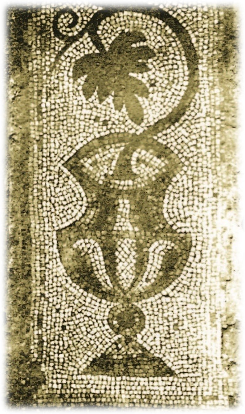 Nicopolis ad Nestum - galleria 11