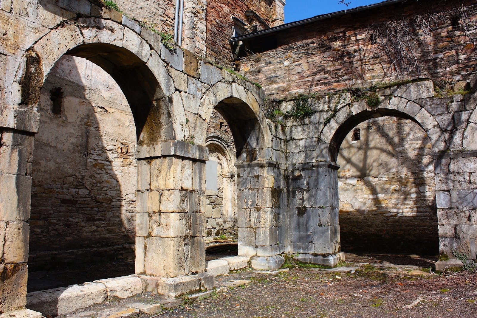 San Pedro de Montes - galleria 5