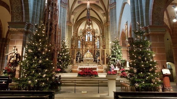 St. Peter Cathedral - galleria 3