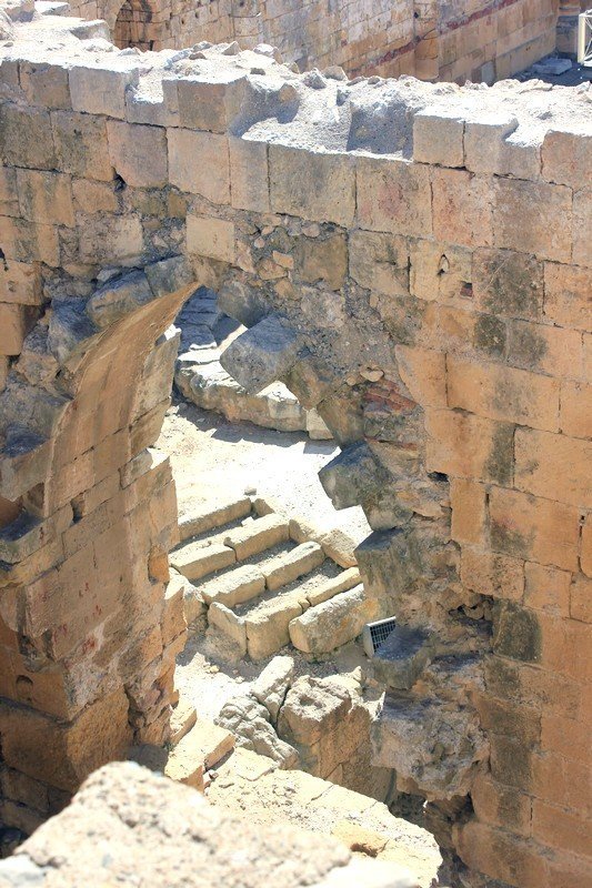Basílica del Anfiteatro de Tarragona - galleria 8